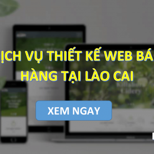 Dịch vụ Thiết kế web bán hàng tại Lào Cai